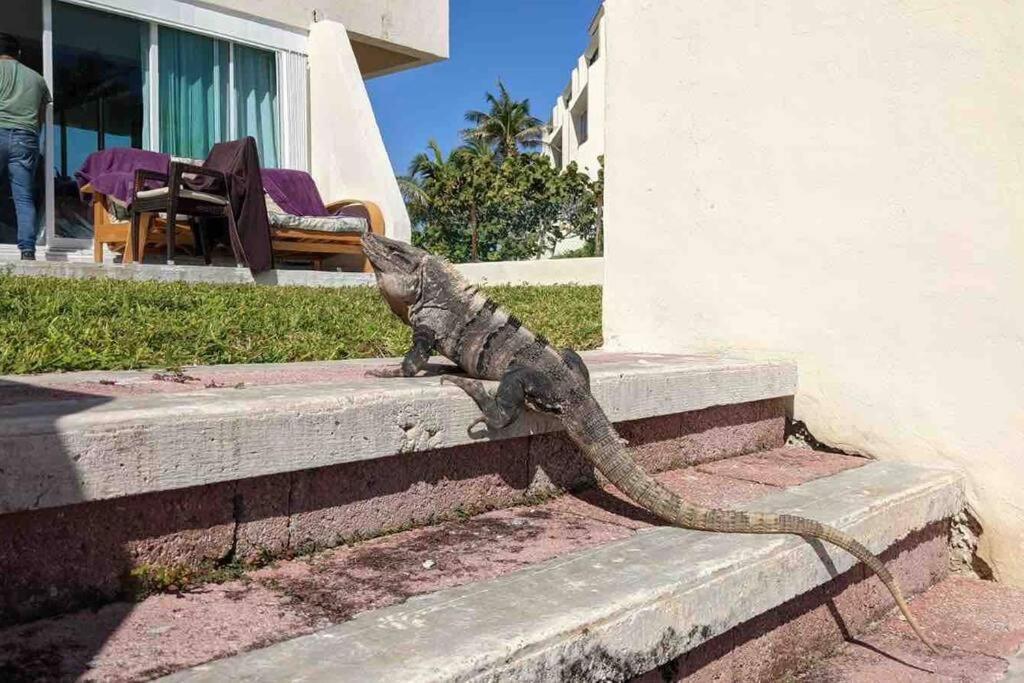 Cancun Oceanfront, Entire Apartment Exterior photo